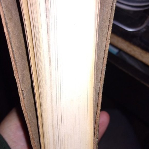 The Poems Of Alfred Lord Tennyson copyright 1900 Embossed Moroccan Leather Boxed - Picture 8 of 12